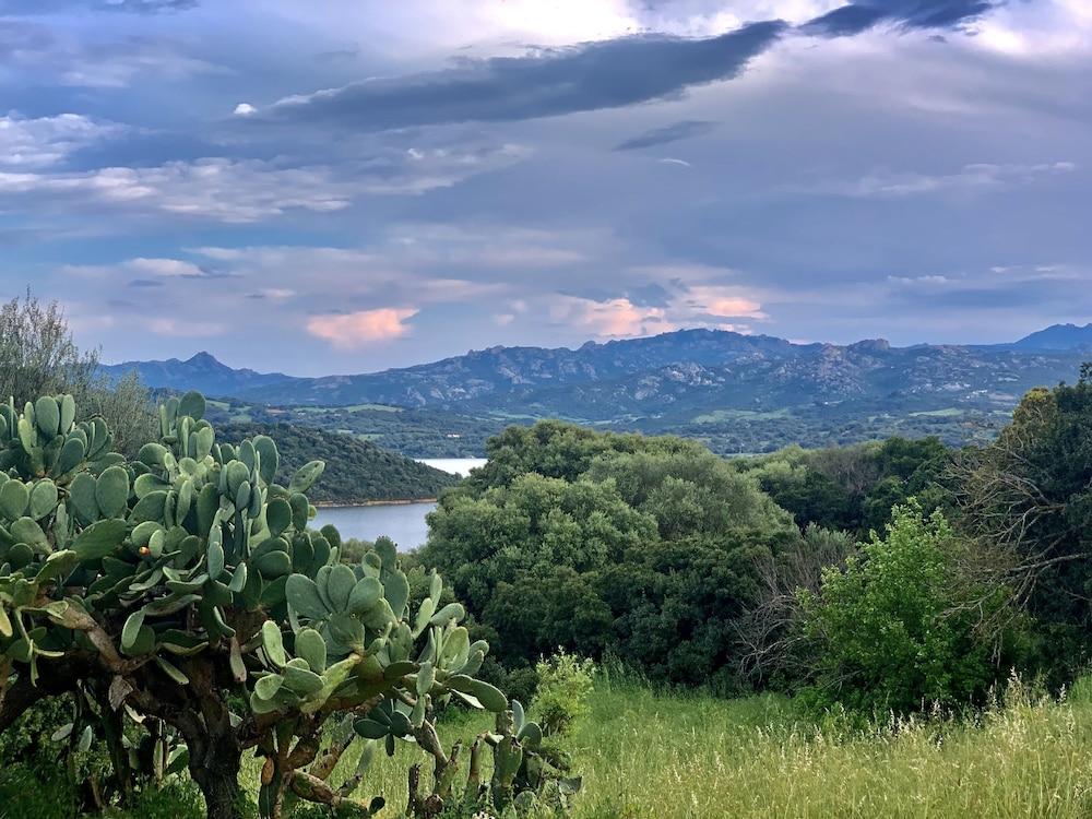 Гостевой дом Liscia Country Relais Сант'Антонио-ди-Галлура Экстерьер фото