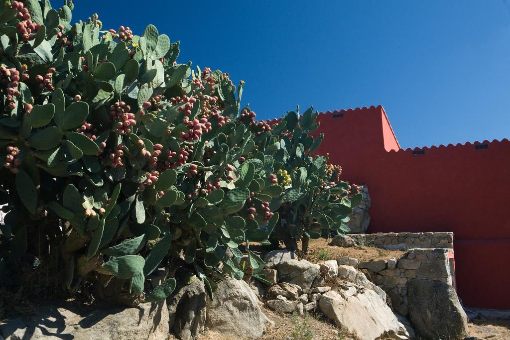 Гостевой дом Liscia Country Relais Сант'Антонио-ди-Галлура Экстерьер фото