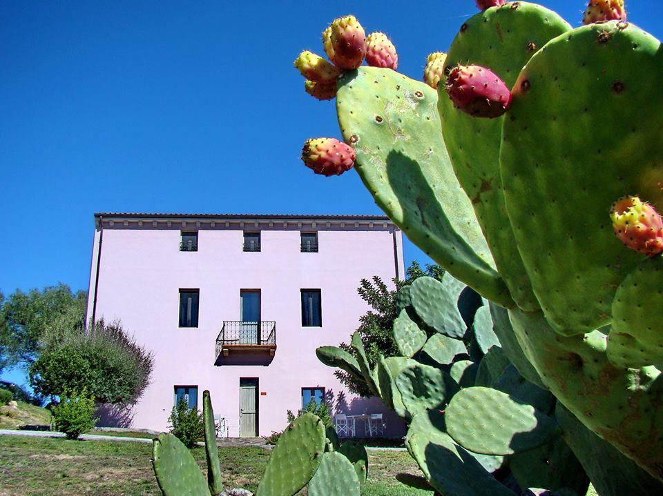 Гостевой дом Liscia Country Relais Сант'Антонио-ди-Галлура Экстерьер фото